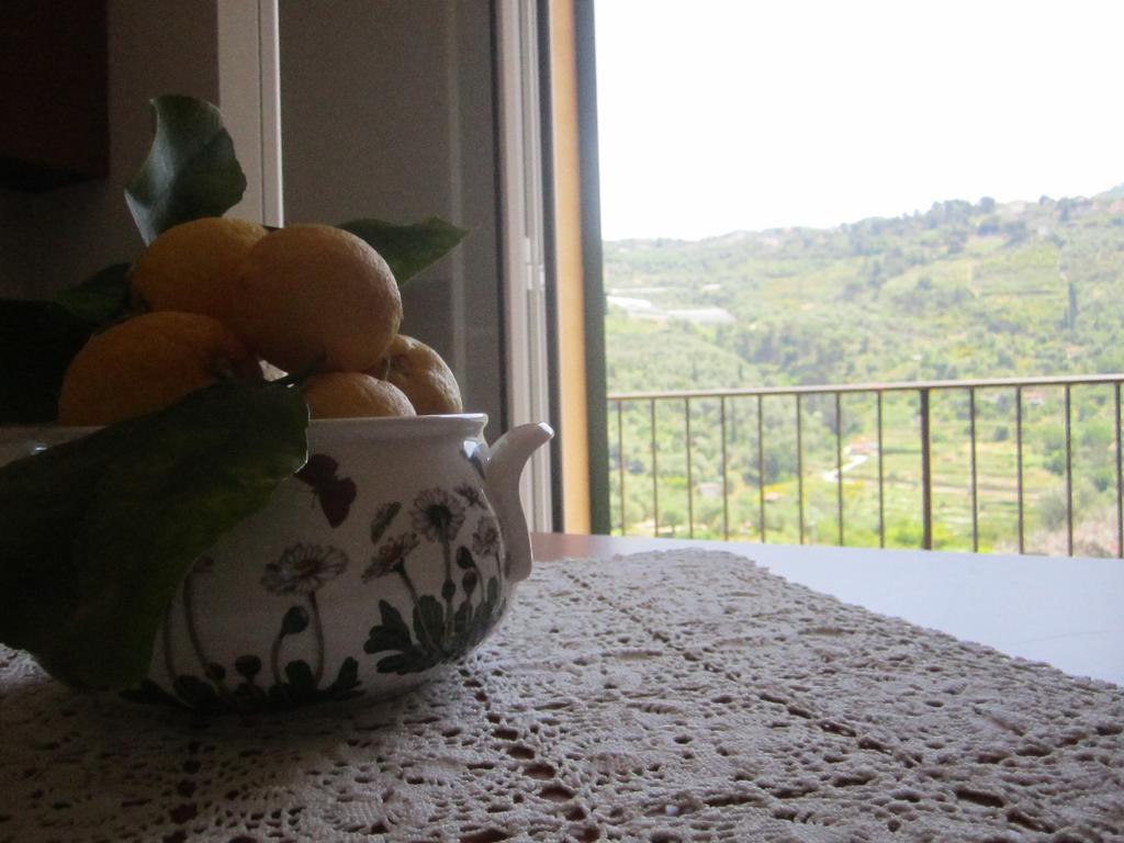 Agriturismo Turlin Villa Vallebona Екстериор снимка
